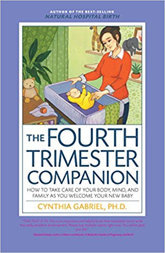 the-fourth-trimester-companion - Doula School Canada