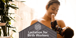 lactation for birth workers