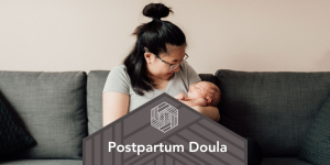 postpartum doula online training