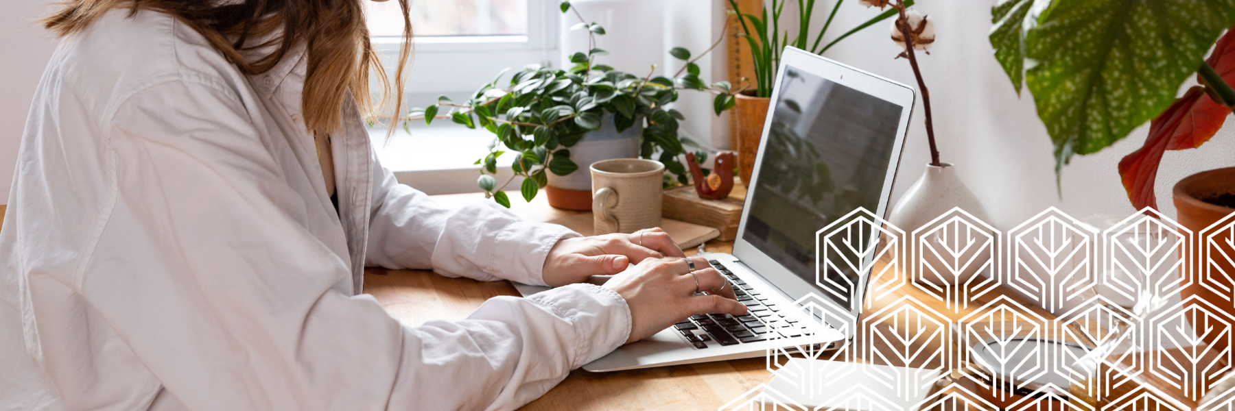 DTC live virtual training