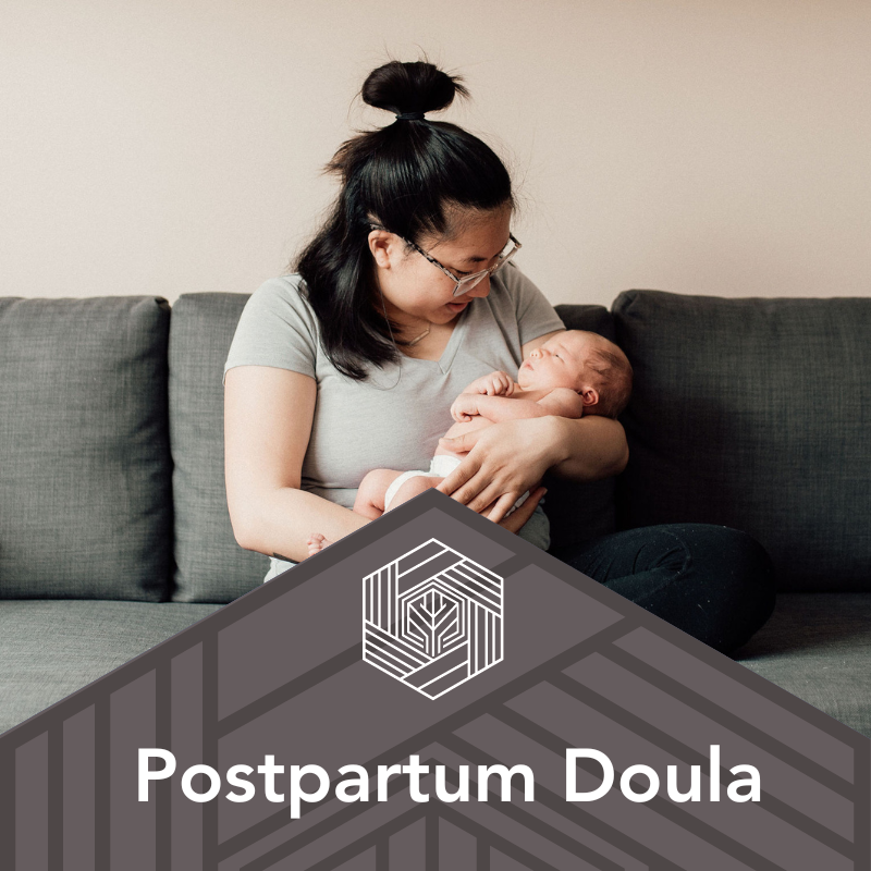 Postpartum Doula