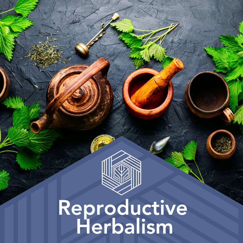 Reproductive Herbalism