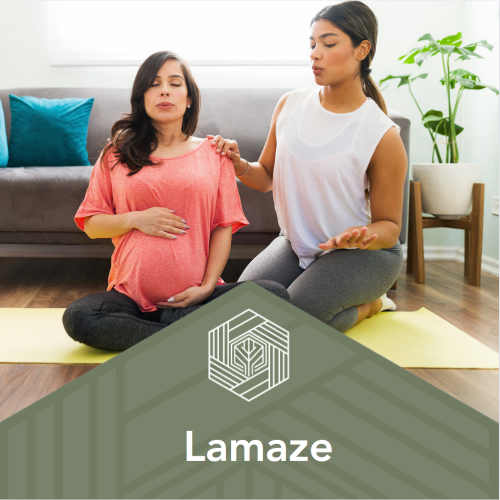 Lamaze Teaching Skills Workshop
