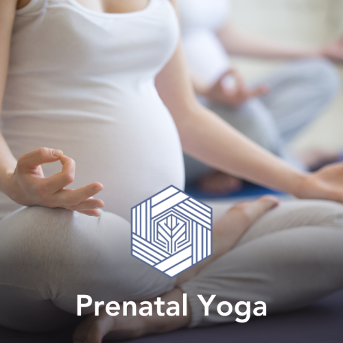 Prenatal Yoga Teacher Training