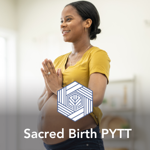 Sacred Birth Prenatal Yoga Teacher Training