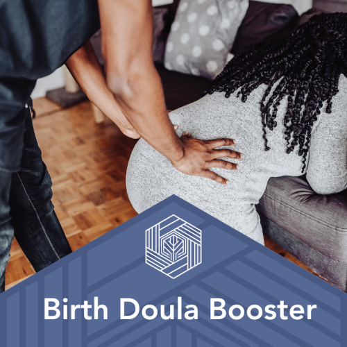 webinar birth doula booster
