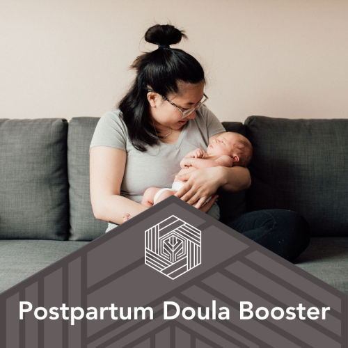 Webinar postpartum doula booster