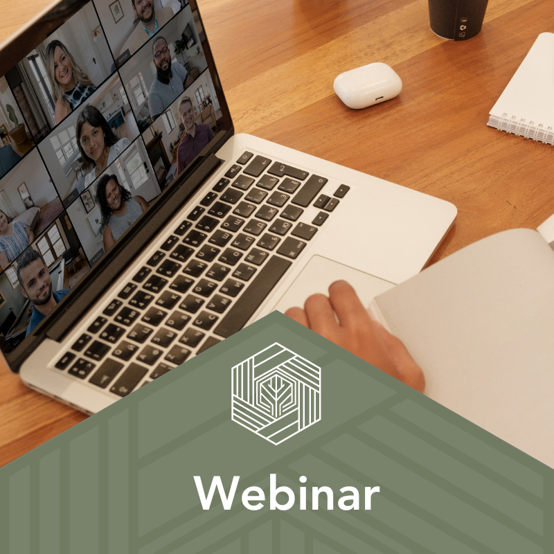 webinar2