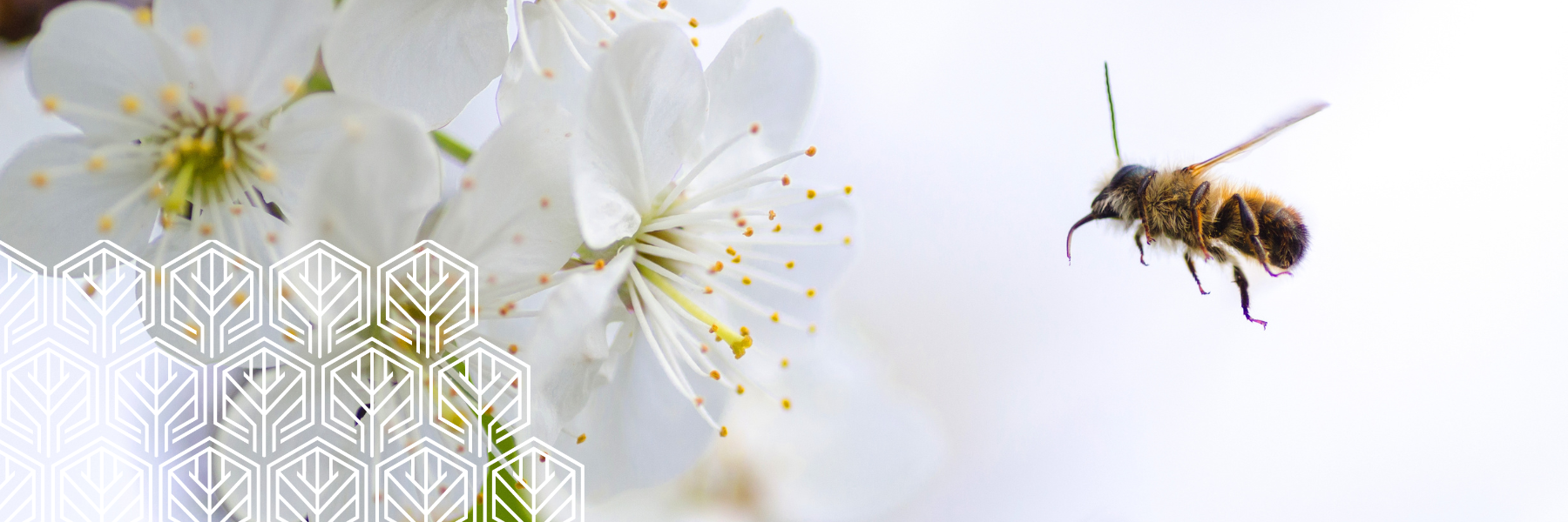 International Fertility Awareness Week: April 20-26 2025